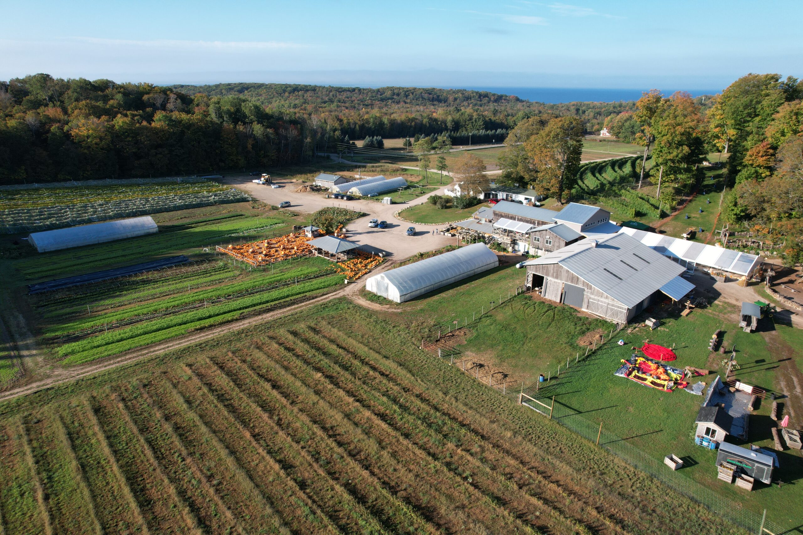 Pond Hill Farm