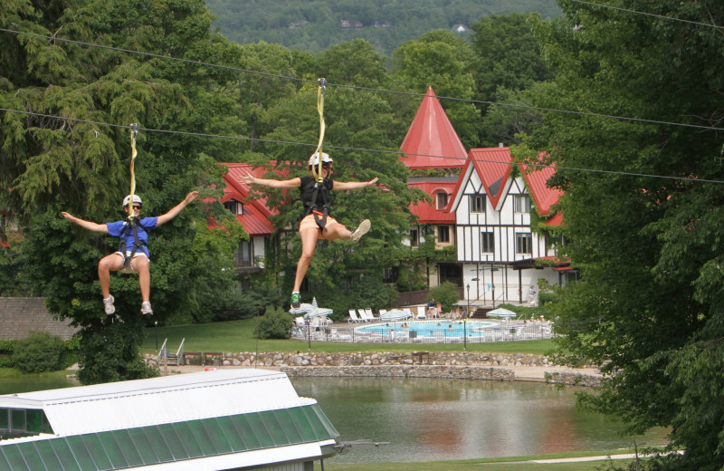 Zip Line